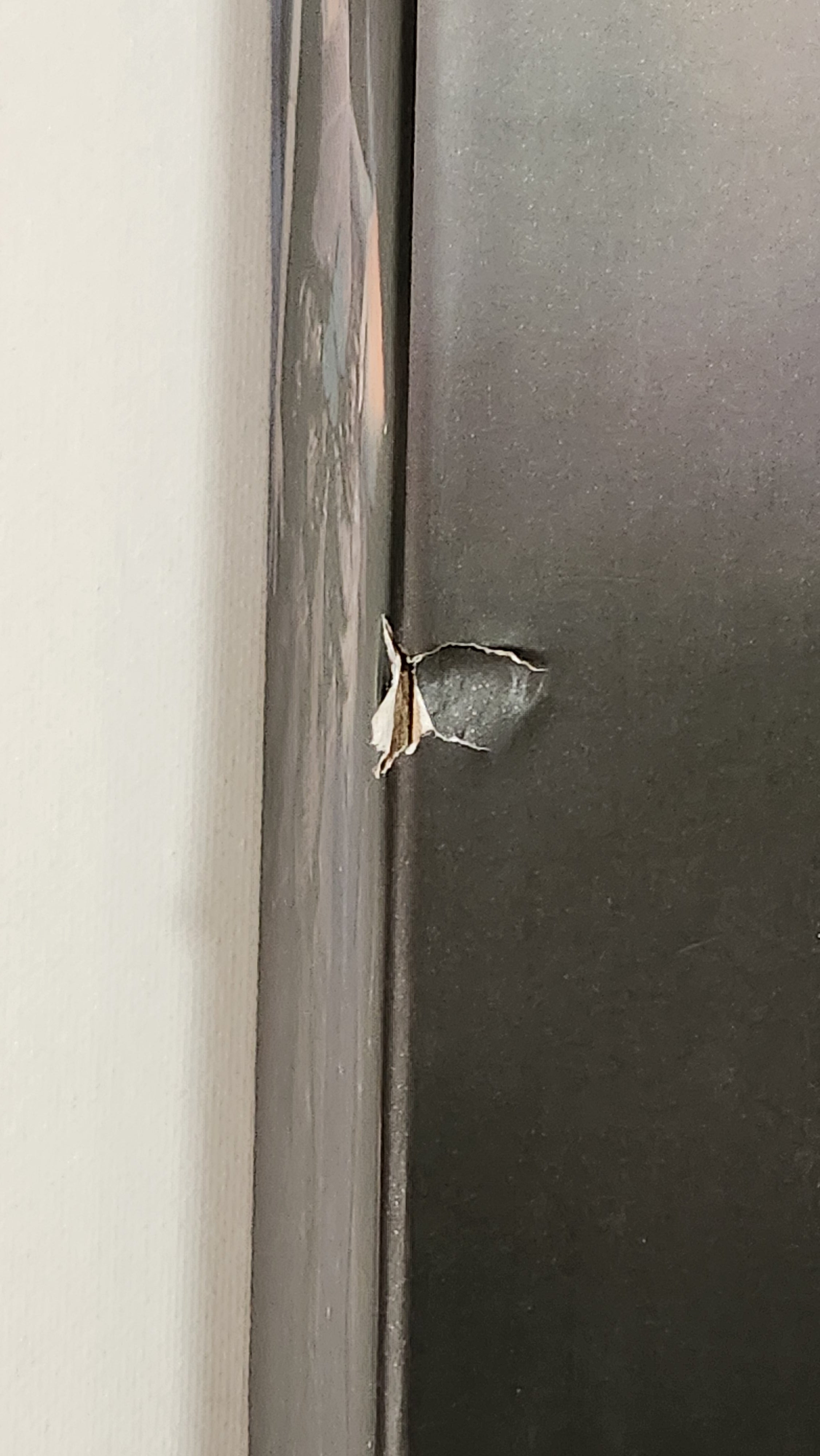 Corpse Bride Emily Collector Doll – Tim Burton (Boxed)